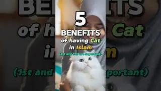 5 Benefits of having Cat in Islam , #shorts #viral #cat #islam