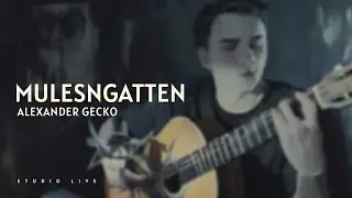 ALEXANDER GECKO - MULENSGATTEN (Studio Live)