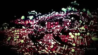 TAS - Trippy Frog V3