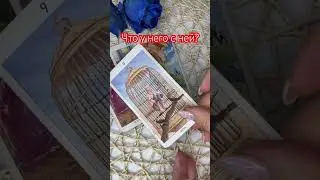 Что у него с ней?#таро #tarot #гадание #love #отношения #тароонлайн #мужчина