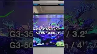 The REEFER Peninsula G3 line!