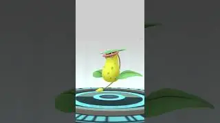weepinbell evolves into victrebell | weepinbell evolution pokemon go | pokemon go gen 1 pokemon