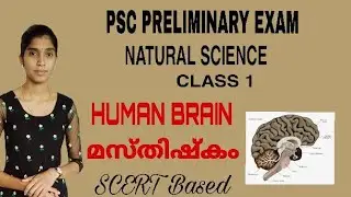 HUMAN BRAIN || NATURAL SCIENCE Class 1 || PSC PRELIMINARY EXAM || MILINDHA