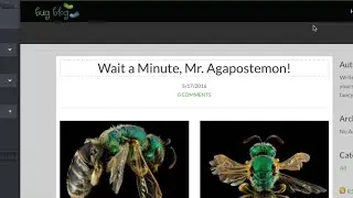 How They Did That Creating a Blog Post on Weebly