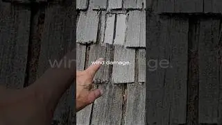Insurance companies will stop covering cedar shake roofs soon! THIS is partly why!