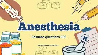 Veterinary Anesthesia: Common Questions Answered!