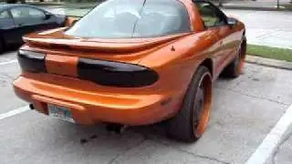 TAMPA MARO BOYZ