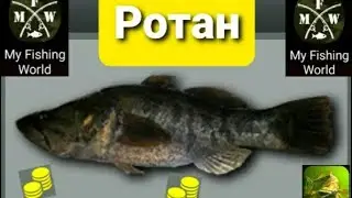 My Fishing World Ротан ловим одного за одним