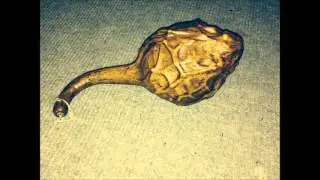 Dudu Muduri (instrumental) @ www.getonic.com/Sites/fredayeukayidunetakavarasha