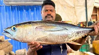 KASIMEDU SELVAM FRESH TUNA FISH CUTTING | UK SONS MARINE 🇮🇳