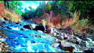 Setisfing river music #setisfingvideo 