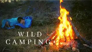 Wild Camping With The Dogs