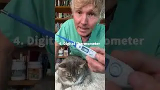 How to know if you cat is sick