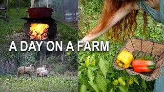 Growing Vegetables In My Garden | Slow Country Life
