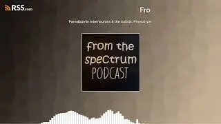 Parvalbumin Interneurons & the Autistic Phenotype