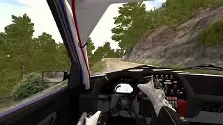 Peugeot 306 Maxi Kit Car Evo 2 - Muracciole Vezzani - Cockpit