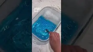 Need a fun activity this week? Try this!🧊 ICEBERGS 🧊