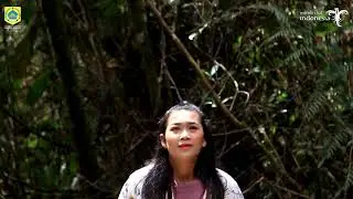 Panorama Indah sindeka