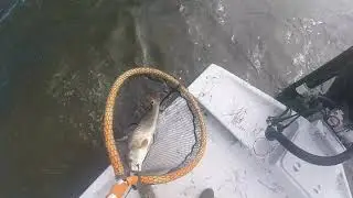 11-22-2020 SPI Fishing