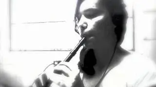 My Heart Will Go On - Titanic Tin Whistle Cover