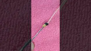 best knot to tie two fishing lines together #fishingknot #diyideas #knot #fishingline #tie