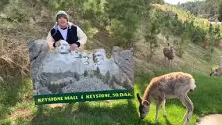 The best place to visit in South Dakota! Is it the Mount Rushmore?