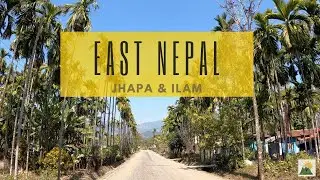 Exploring Ilam & Jhapa | East Nepal