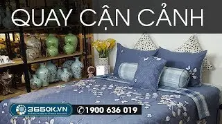 Chăn ga gối đệm H&agrave;n Quốc TPHCM | Drap cotton H&agrave;n Quốc gi&aacute; rẻ k&iacute; hiệu KS1P-117