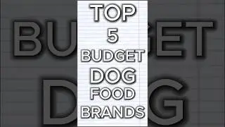 Top 5 Budget Dog Food Brands! [2025] #dogfood #petcare #dogfoodbrands #dogfoodreview