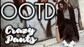 OOTD CrAzY PANTS + MiNi BEHiND THE SCENES | CarmenDinn