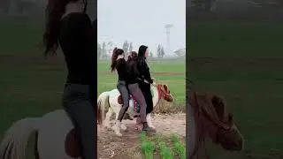 3 Girls Funny Pony Moments !! Training and Riding Pony !! 1131