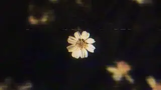 ItsLucid & hir&aelig;th - selene