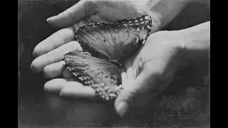YOUR TIME AS A CATERPILLAR HAS EXPIRED. YOUR WINGS ARE READY