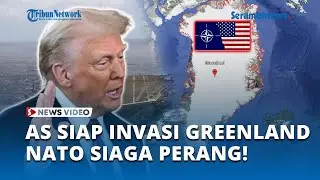 Ketegangan Global Memanas: AS Siapkan Invasi Greenland, NATO Siaga Perang