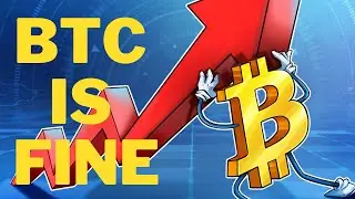 BTC Accumulation continues
