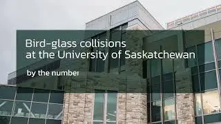 Bird-Glass Collisions at the University of Saskatchewan