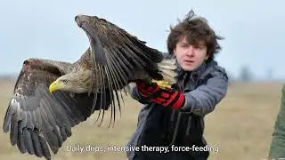 Ada Fundation- Rehabilitation Center of Protected Animal
