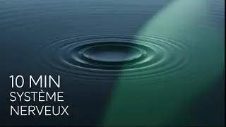 10 Minutes 🧘 D&eacute;tente Profonde et Calme du Syst&egrave;me Nerveux (Anti-Stress)