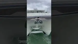 The 400 DC-X WorldCat received our Tropical Detail Package 🌴