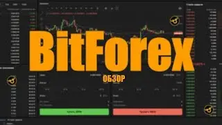 Обзор BitForex