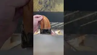 鯉に餌をあげる