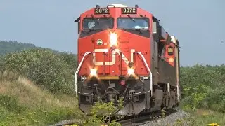 Good Size Manifest Train CN 594 West Rolling thru Penobsquis, NB on a Heat Related Speed Restriction