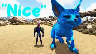 Jeremy the Huge Blue Jerboa