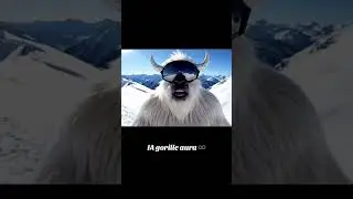 gorille hora #ia  #pourtoi  #prank  #viral  #drole  #humour