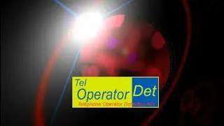 Telephone Operator Detection API