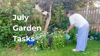 July Garden Jobs 🌱 | Feeding, Deadheading & Tackling My Messy Patio Pots