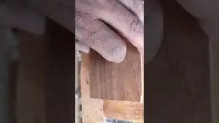 تكملة الحديث عن الخانات