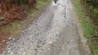 Llangollen lanes 31/01/26