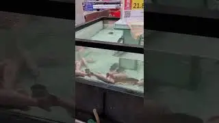 Water foods in China.     ( Chinese Supermarket) #chinesefood #chinesemarket