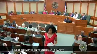 Texas House Youth Health And Safety April 3